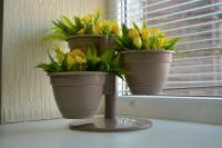 c319ebeb-55d9-11ed-aea3-001e673ebdea-1