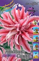 40fc23c1-7133-11ec-8bcd-005056c00008-1