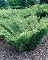 9331e545-70a2-11ed-be6f-001e673ebdea-1