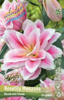 50ac7a05-0fd8-11df-8808-0019dbe91ea3-1