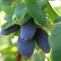 a879e7cb-b8a8-11f0-891d-246e9611e8f7-1