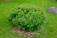 efdace9b-a340-11eb-93b3-005056c00008-1