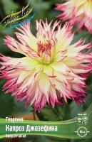 75b97a65-f847-11e7-b46d-005056c00008-1