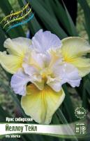 2573fbf4-72bb-11ec-8bcd-005056c00008-1