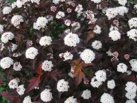 622aa60a-a340-11eb-93b3-005056c00008-1