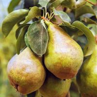 15b72257-be33-11f0-891d-246e9611e8f7-1