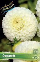 08fa3ad5-2ec7-11e0-9fb4-00500454e615-1