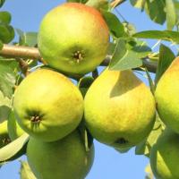 45b17734-be18-11f0-891d-246e9611e8f7-1