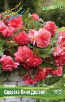 5eeefeba-cf6f-11f0-891e-246e9611e8f6-1