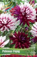 46a3959e-5871-11e1-960d-00500454e615-1