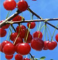 9a834861-be3a-11f0-891d-246e9611e8f7-1