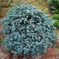 58dae02e-d4cc-11f0-891e-246e9611e8f6-1