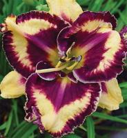 9f2e764a-9b93-11e2-8061-00500454e615-1