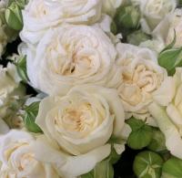 bc59884a-361b-11ef-890e-246e9611e8f7-1