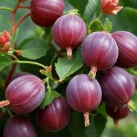 ff9e0d5c-bad6-11f0-891d-246e9611e8f7-1