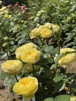 15b8bc67-dac7-11ee-890a-246e9611e8f5-1