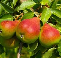 c31a15e1-be29-11f0-891d-246e9611e8f7-1