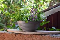 fe1cbb27-58da-11ed-aea3-001e673ebdea-1