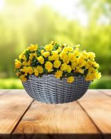 c3090bc5-da7b-11f0-891e-246e9611e8f6-1