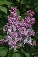 99f08923-2f8d-11ef-890e-246e9611e8f7-1