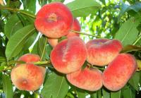 fe0602b7-d33b-11ef-8915-246e9611e8f5-1