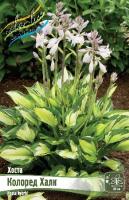 02208d16-17ae-11e8-9960-005056c00008-1