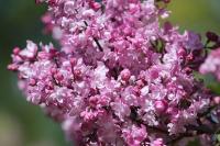 ed242c9d-2f8e-11ef-890e-246e9611e8f7-1