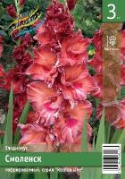 80030438-3ea0-11ea-ab2f-005056c00008-1