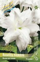 7d6d856f-b38f-11ee-8bd7-001e673ebdea-1