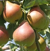 9ce546a7-be08-11f0-891d-246e9611e8f7-1