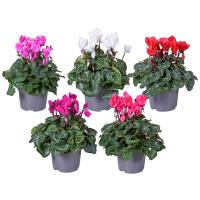 356d93d0-c581-11ee-8908-246e9611e8f5-1