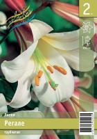 50d74c60-675f-11ed-bd4c-001e673ebdea-1