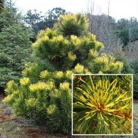 f7851f21-d76b-11f0-891e-246e9611e8f6-1