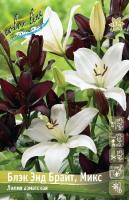 f9385f5c-6535-11ea-96d0-005056c00008-1