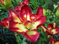 3d2db575-675c-11ed-bd4c-001e673ebdea-1