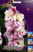 487506c2-6539-11ea-96d0-005056c00008-1