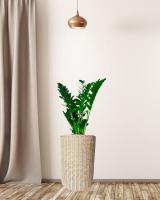 4d99451e-df0e-11f0-891e-246e9611e8f6-1