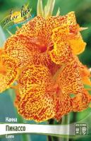 bc9fe562-fa99-11dd-868a-0019dbe91ea3-1