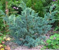 866ca523-3c96-11e8-8910-005056c00008-1