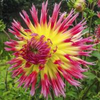 f46f6fe4-2ea6-11e0-9fb4-00500454e615-1