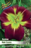 2b86db04-4765-11ea-96d1-005056c00008-1