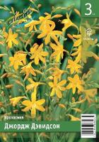 b90f577b-2dcf-11e8-a7ea-005056c00008-1