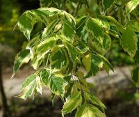 497371d3-114b-11f0-8918-246e9611e8f6-1