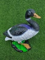 009dac2b-1450-11f0-8918-246e9611e8f6-1