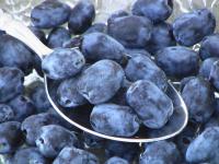 009afe3a-b8c1-11f0-891d-246e9611e8f7-1