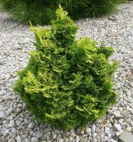 a280b967-d403-11f0-891e-246e9611e8f6-1