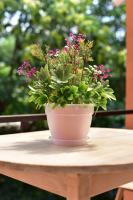 775261d8-6834-11ee-ae0a-001e673ebdea-1