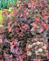 8d56f46b-1137-11f0-8918-246e9611e8f6-1