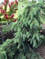 64592710-3a31-11eb-b90a-005056c00008-1