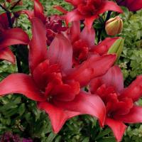 05ff017e-6754-11ed-bd4c-001e673ebdea-1